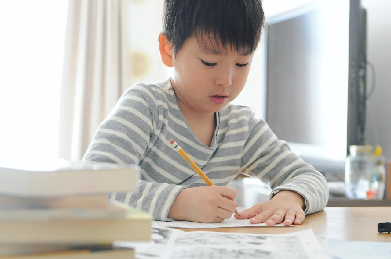 child, kid, boy, book, pencil, education, student, childhood, learning, education, education, education, education, education, student, student, student, student, student. Tutoring Center Quality Control: What to Check