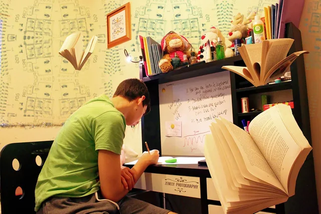 studying, exams, preparation, knowledge, teenage, male, room, study, books, stationary, desk, education, school, office, write, student, textbook, studying, studying, exams, exams, study, study, study, student, student, student, student, student. Tutoring center admissions: seasonal SHSAT prep